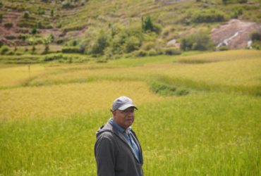 Rapport sur l’importation du riz