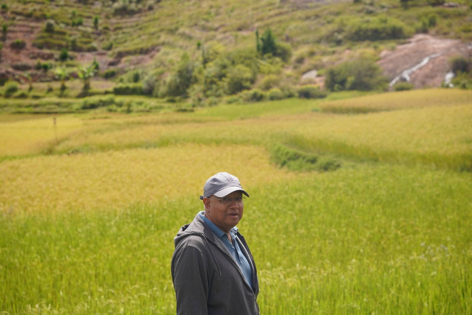Rapport sur l’importation du riz